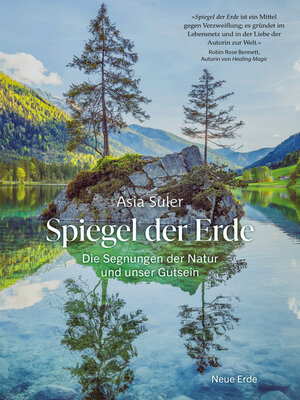 cover image of Spiegel der Erde